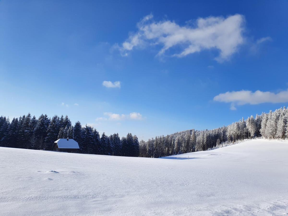 Ferienhaus-Schoenwald Im Herzen Des Schwarzwaldes 2-Zimmer-Maisonette-Wohnung Mit Balkon App 12 Екстериор снимка